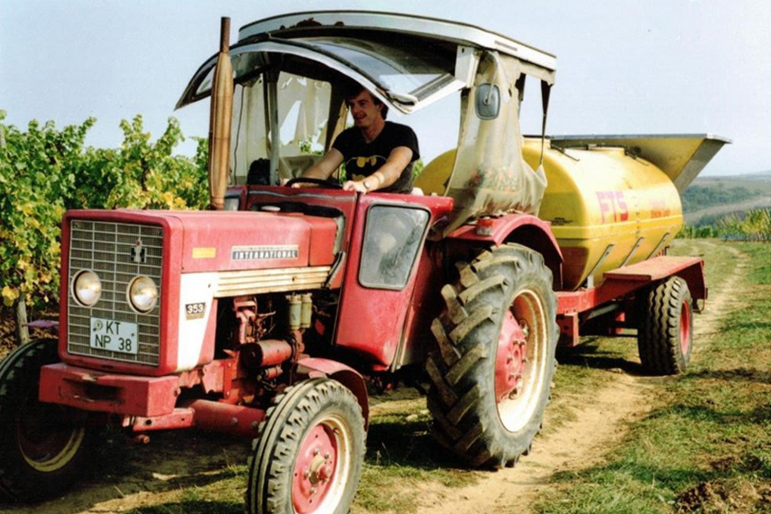 Warum Wein im Weinberg entsteht und nicht im Keller