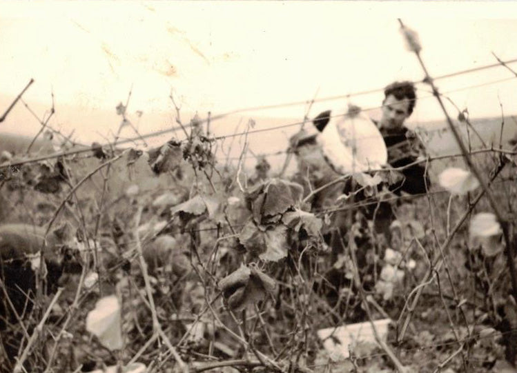 Die Umstellung auf Bio: Was sich seit 2013 verändert hat