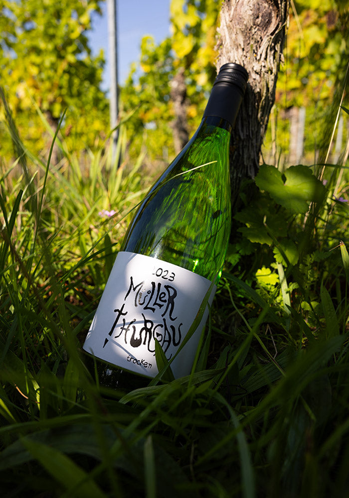 Müller Thurgau 2023