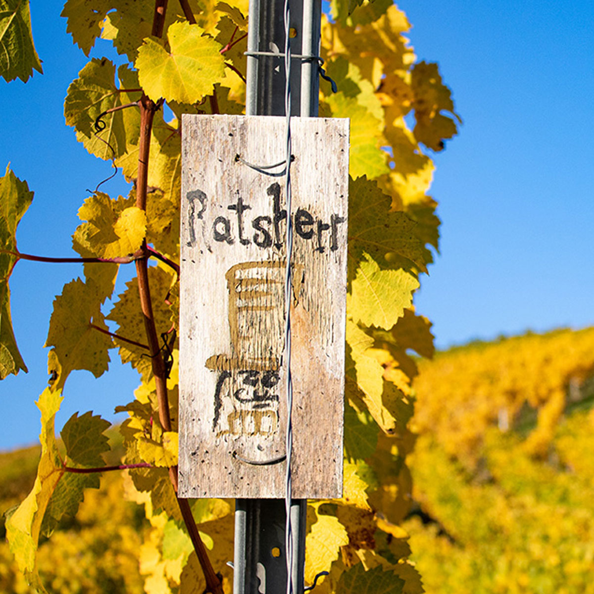 Weingut_Simon_Stumpf_Ratsherr_Kunst