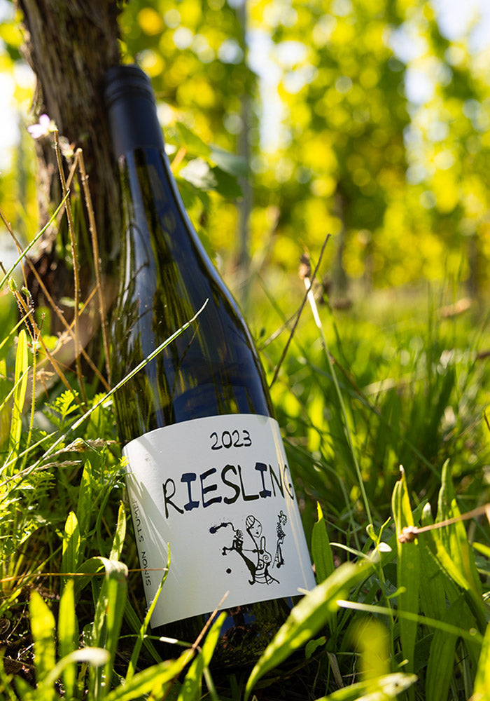 Riesling 2023