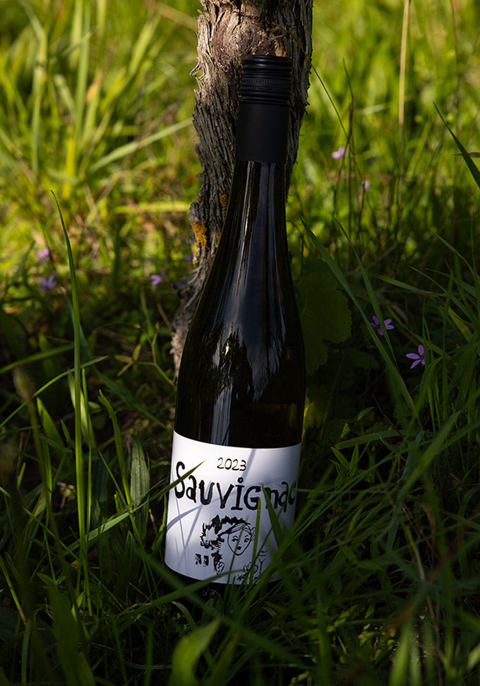 Sauvignac 2023