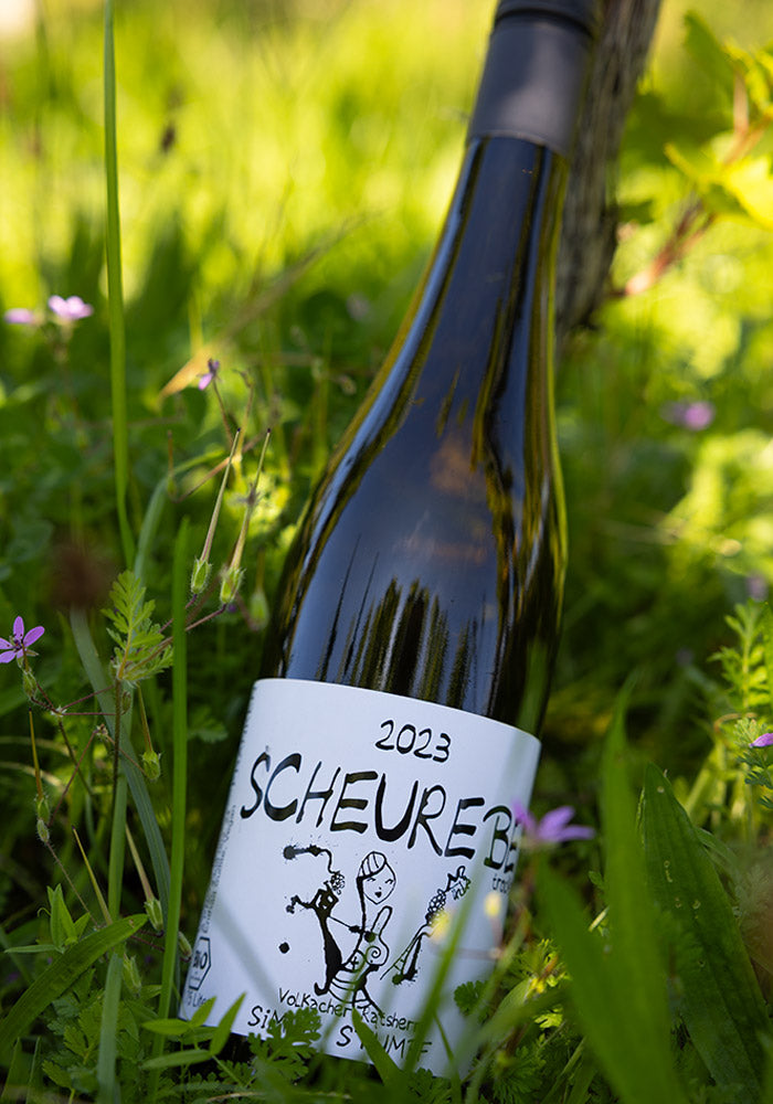Scheurebe 2023